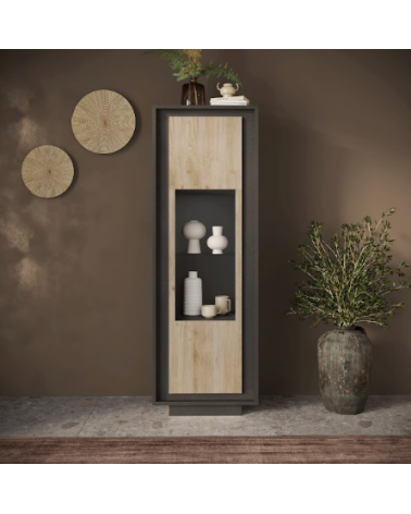 Vitrine sky 1 porte – Finition Mercure / Anthracite